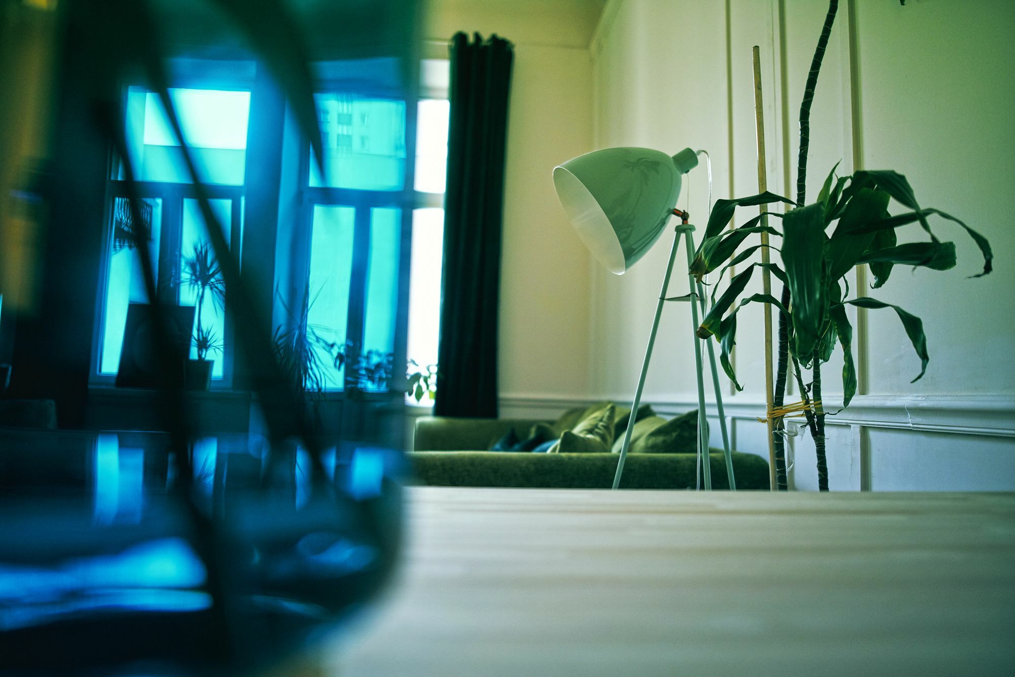 4Th Floor Bed And Breakfast 华沙 外观 照片